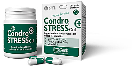 Image of Condrostress (+) Cat - Nuova Formula - Compresse