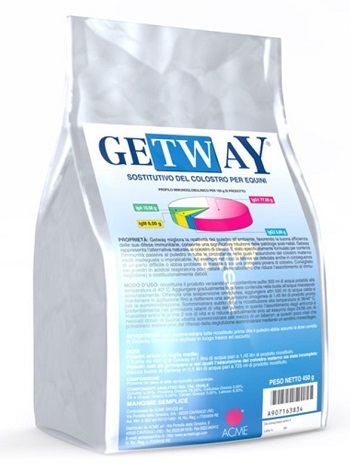 Image of GETWAY POLVERE 450G033