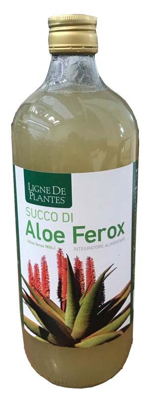 Image of ALOE FEROX BIO 1L033