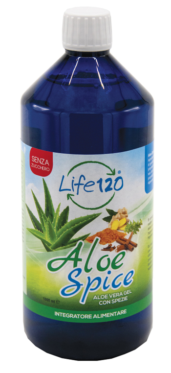 Image of Aloe Spice 1000ml