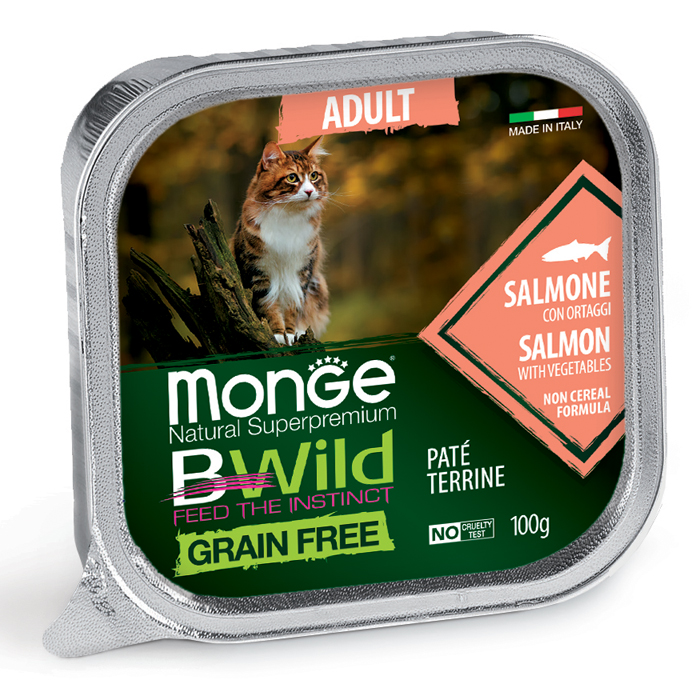 Image of BWild Adult Paté Terrine Salmone con Ortaggi - 100GR033