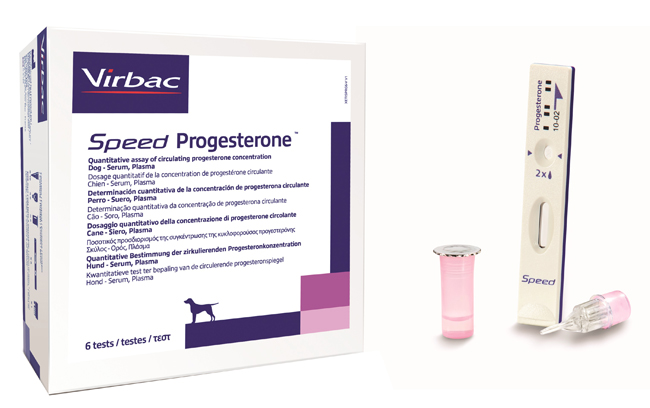 Image of SPEED READER PROGESTERONE6TEST033