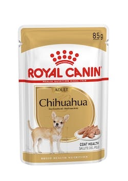 Image of Chihuahua Adult - 85GR