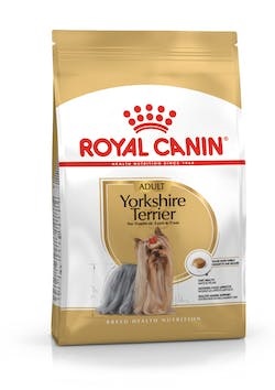 Image of BHN YORKSHIRE TERRIER AD 7,5KG033