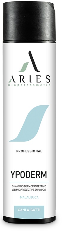 Image of YPODERM SHAMPOO 250ML033