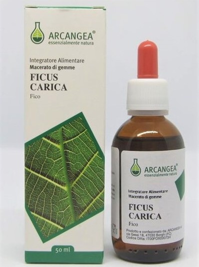 Image of Ficus Carica Bio 33 Gd Arcangea 50ml