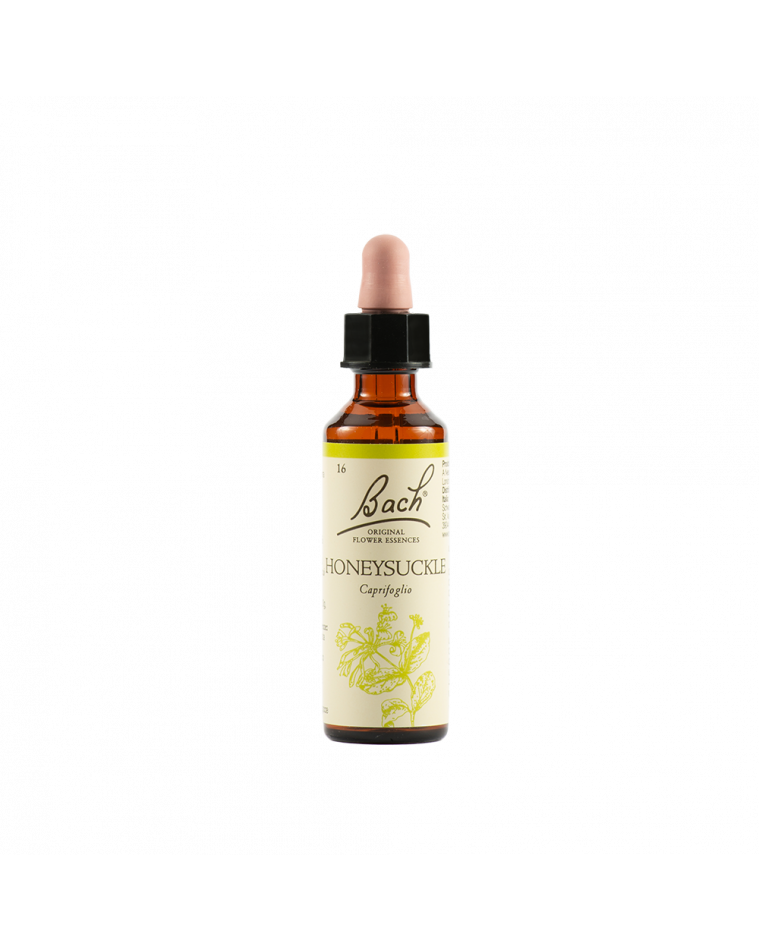 

Honeysuckle Schwalbe 20ml