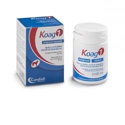 Koag 1 Candioli 20 Compresse Da 2g-image