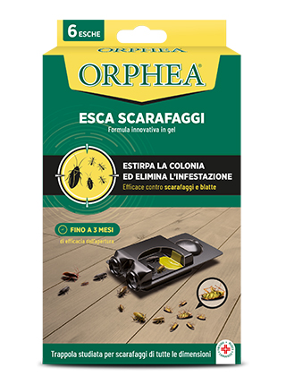 Image of Esca Scarafaggi ORPHEA 6 Pezzi