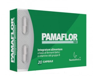 Image of Pamaflor 100 Nausica Medical 20 Capsule