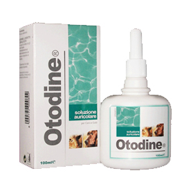 Image of Otodine Detergente Liquido 100ml 902830900