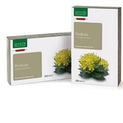 Image of Natura Service Rodiola Integratore Alimentare 20 Ampolle Bevibili 15ml033