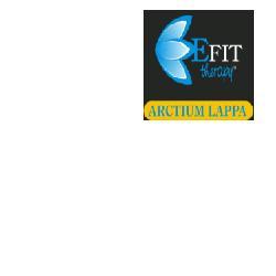 Image of EFIT Arctium Lappa Estratto Fluido 30ml