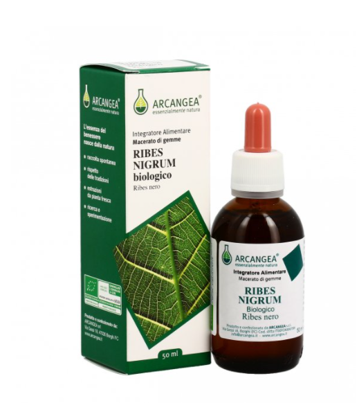 Image of Ribes Nigrum Bio Arcangea 50ml033