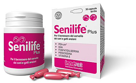 

Senilife® Plus Innovet 30 Capsule