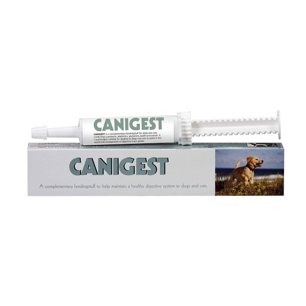 Image of Canigest Pasta - Siringa 30 ml