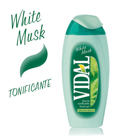 Image of VIDAL D/S WILD MUSK 250 ML033