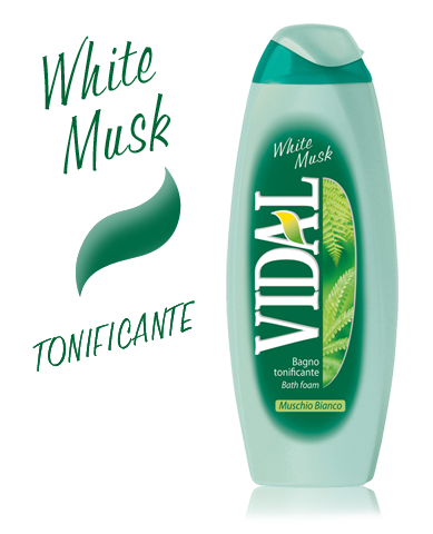 Image of VIDAL B/S WILD MUSK 500 ML033