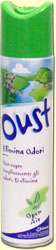 Image of OUST SPRAY 300 ML