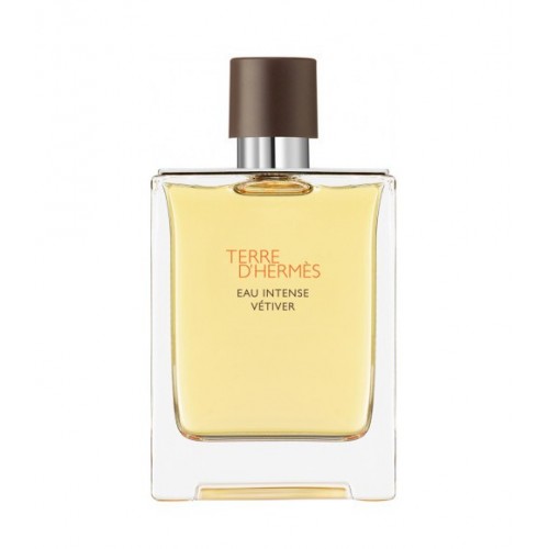 Image of HERMES TERRE VETIVER EDP 100 V033