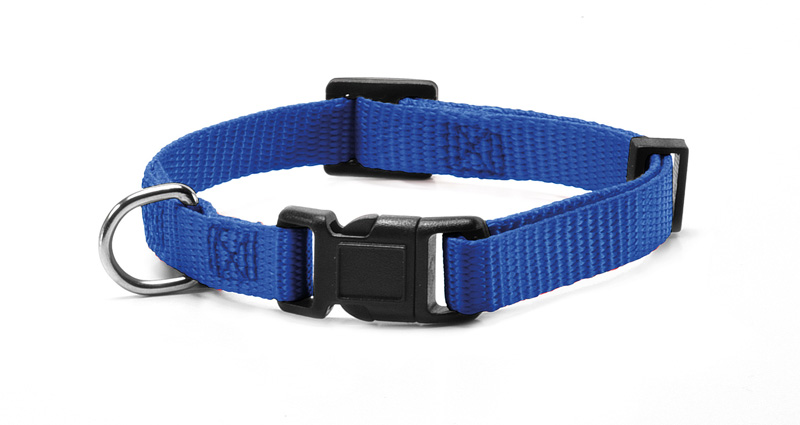 Image of RECORD COLLARE NYLON CON CLIP BLU M 2X40033