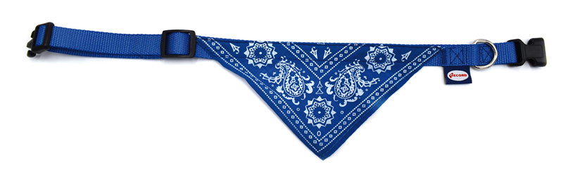 Image of RECORD COLLARE NYLON BANDANA BLU 1,6X30033